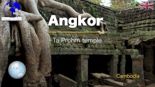 Angkor, Ta Prohm temple • Cambodia